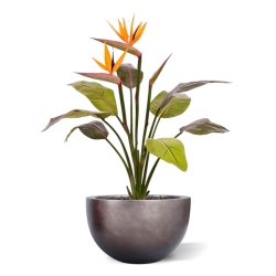 Bouquet artificiale di Strelitzia 75 cm