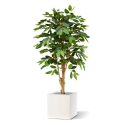 Pianta artificiale di caffè arabica deluxe 150 cm N