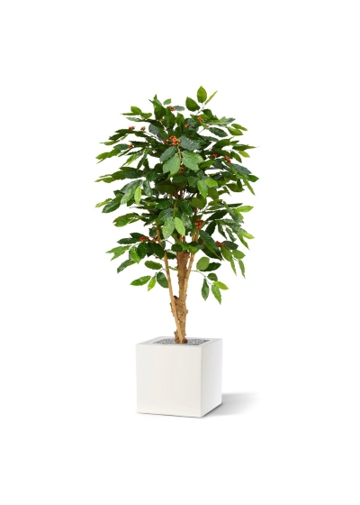 Pianta artificiale di caffè arabica deluxe 150 cm N