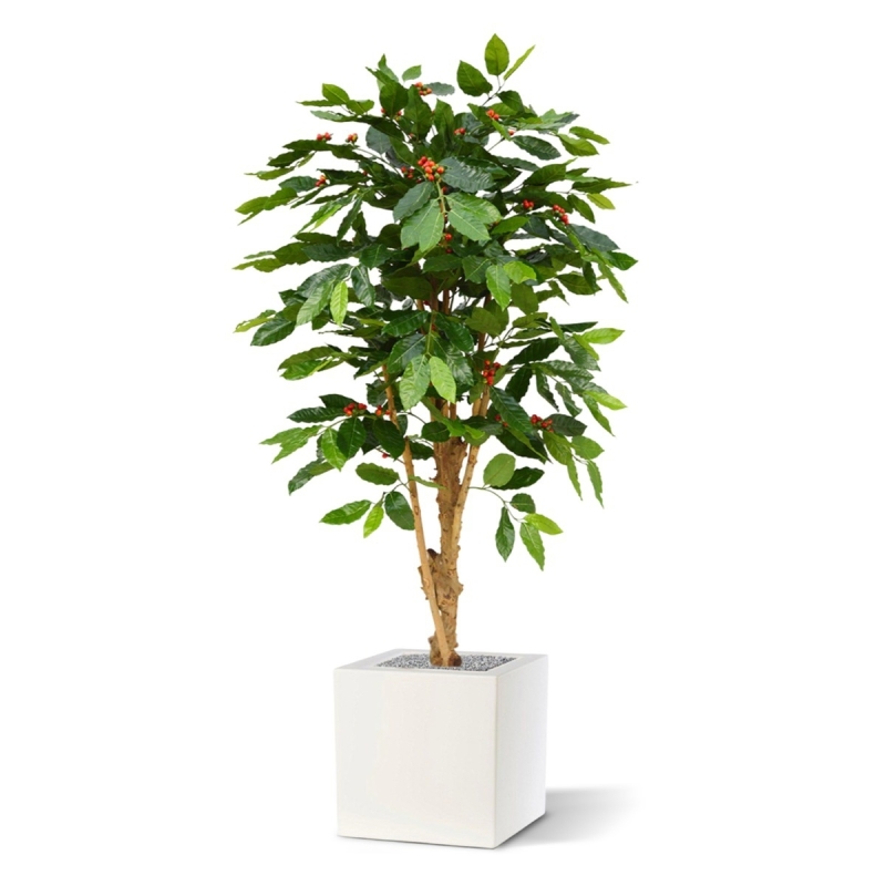 Pianta artificiale di caffè arabica deluxe 150 cm N