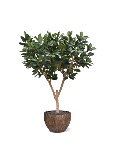 Albero artificiale Elastica Robusta XL 300cm verde