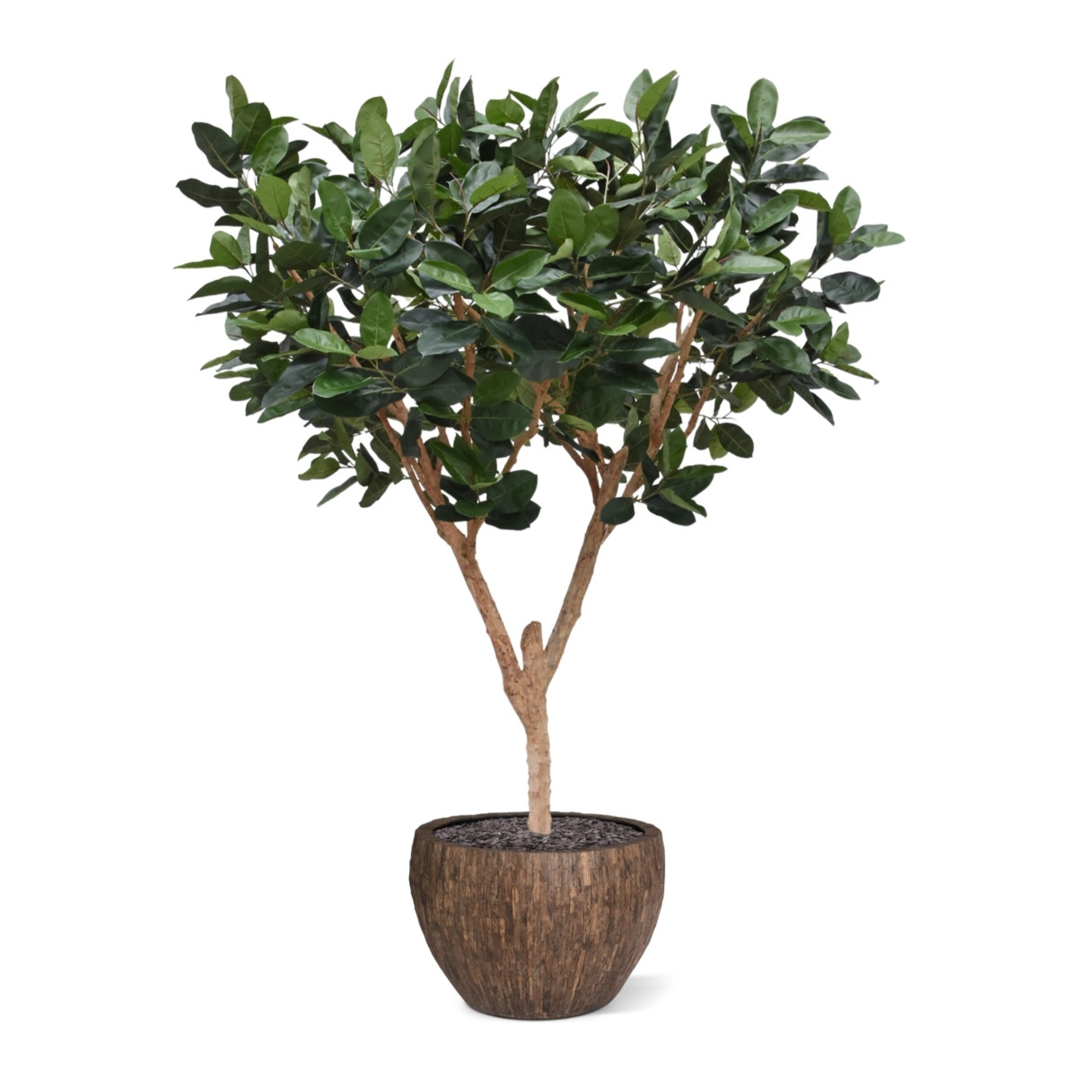 Albero artificiale Elastica Robusta XL 300cm verde