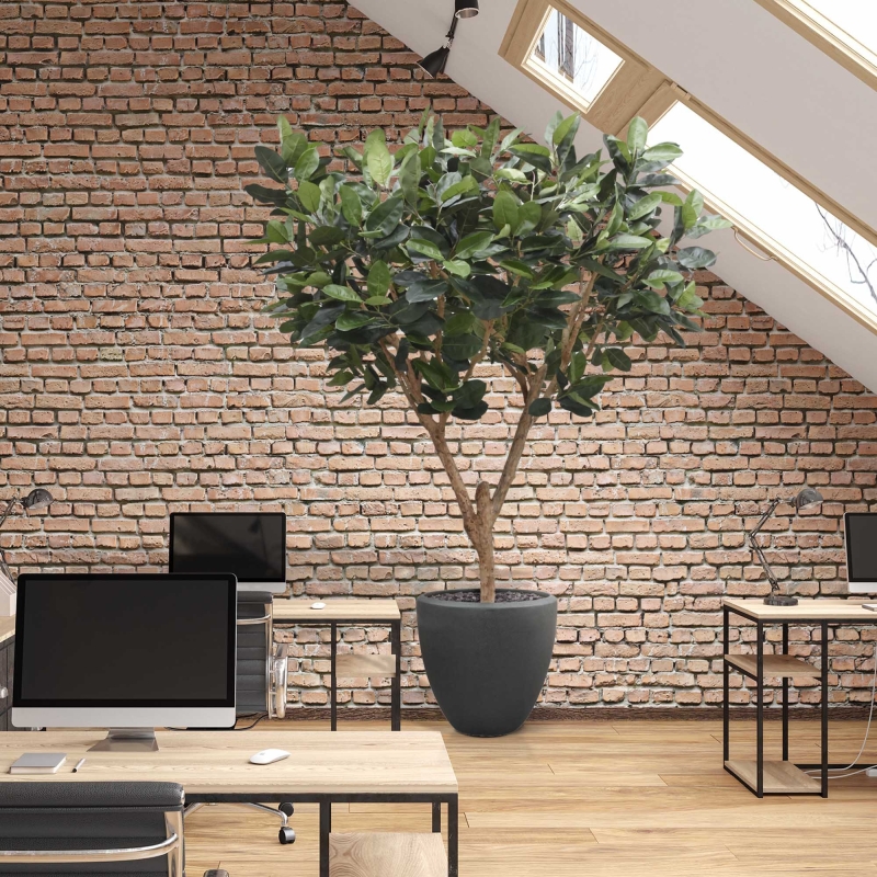 Albero artificiale Elastica Robusta XL 300cm verde