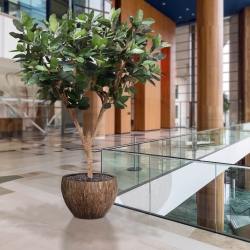 Albero artificiale Elastica Robusta XL 300cm verde