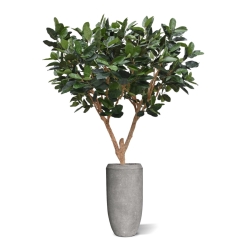 Albero artificiale Elastica Robusta XL 300cm verde