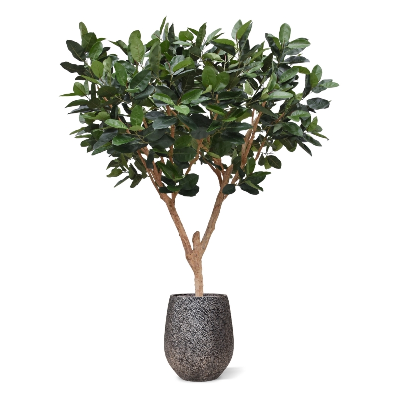 Albero artificiale Elastica Robusta XL 300cm verde