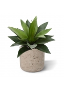 Bouquet artificiale di agave 25 cm