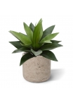 Bouquet artificiale di agave 25 cm