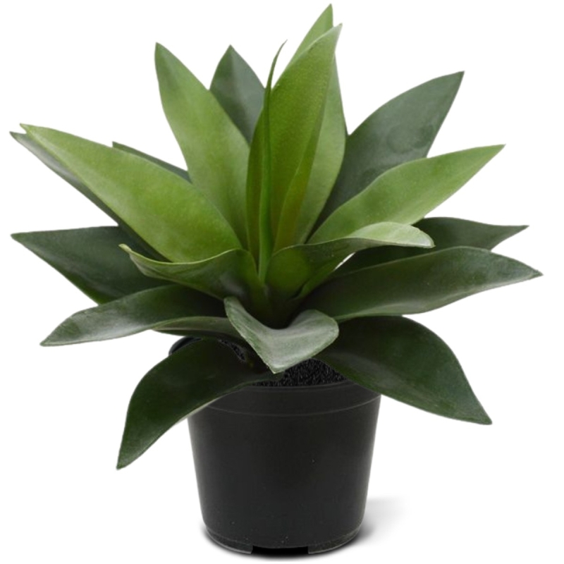 Bouquet artificiale di agave 25 cm