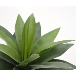 Bouquet artificiale di agave 25 cm