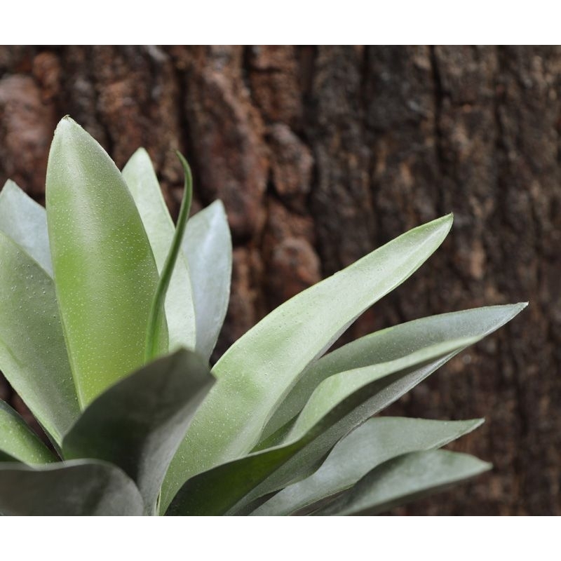 Bouquet artificiale di agave 25 cm