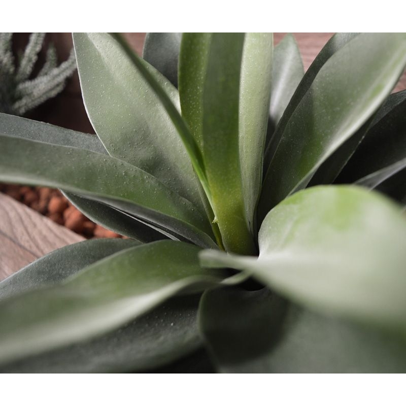 Bouquet artificiale di agave 25 cm