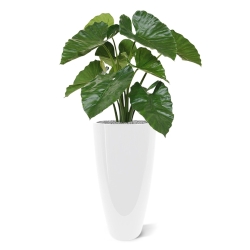 Bouquet artificiale di Alocasia Calidora 70 cm