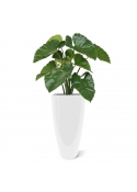 Bouquet artificiale di Alocasia Calidora 70 cm