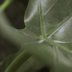 Bouquet artificiale di Alocasia Calidora 70 cm