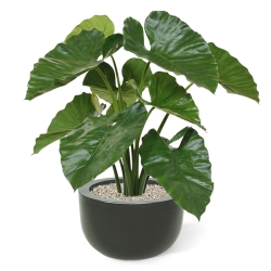Bouquet artificiale di Alocasia Calidora 70 cm