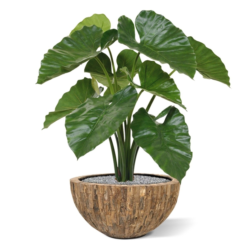 Bouquet artificiale di Alocasia Calidora 70 cm