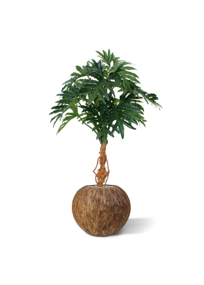 Pianta artificiale Philo Selloum 130 cm