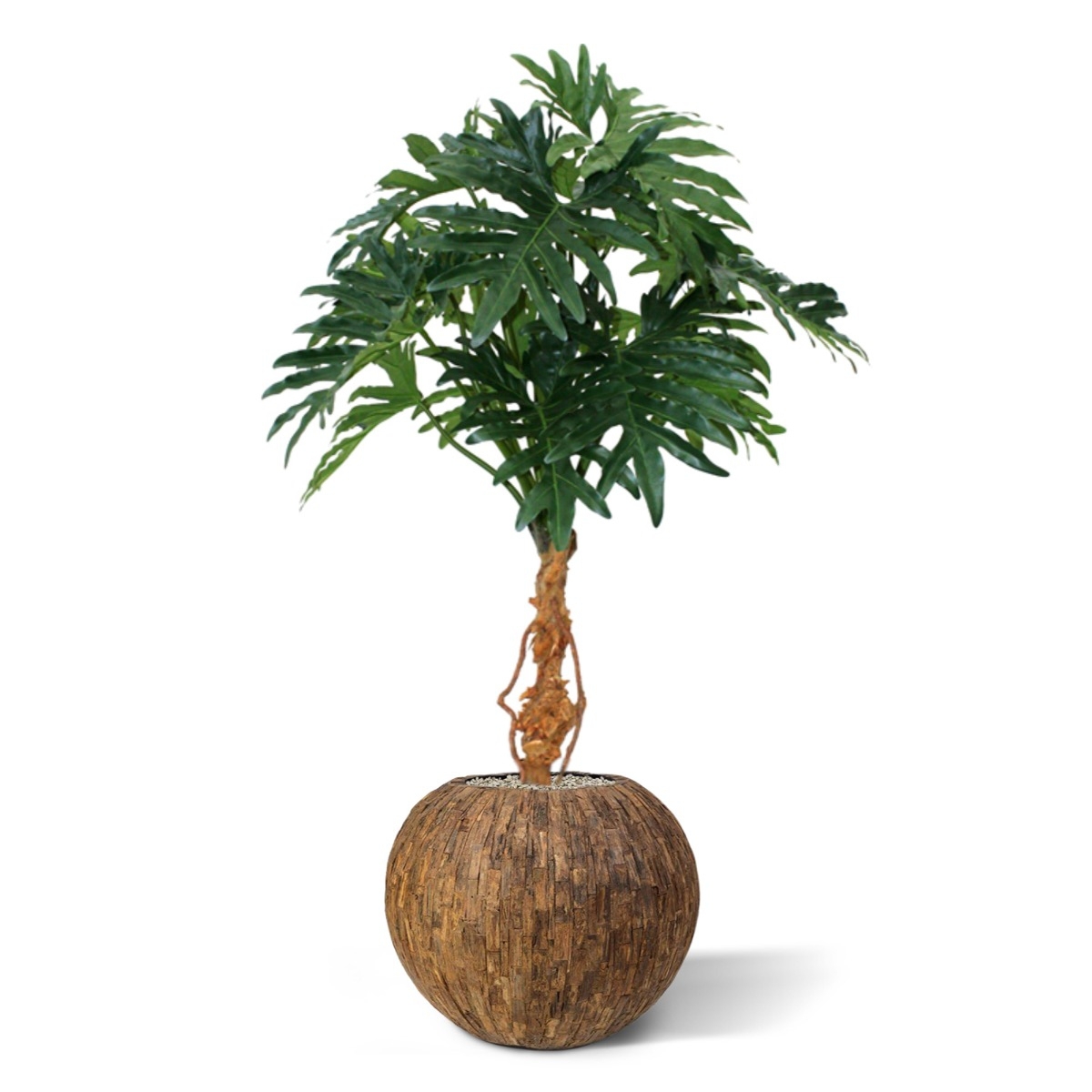 Pianta artificiale Philo Selloum 130 cm