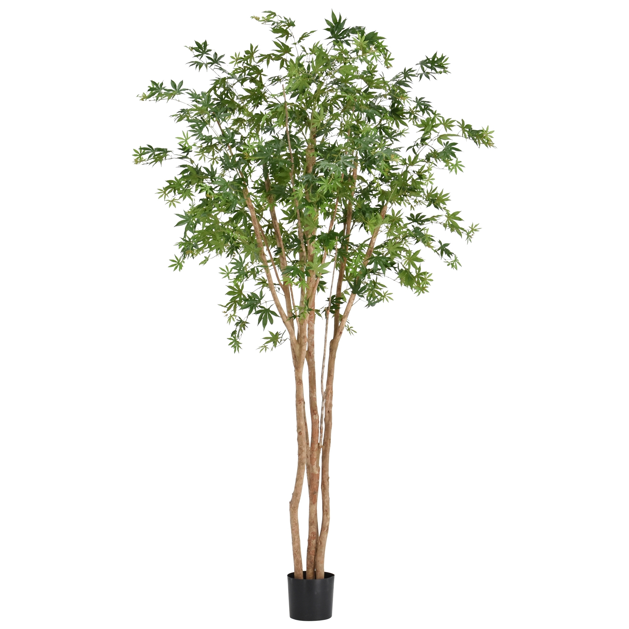 Artificiale Acero Albero Deluxe Verde 250cm su fusto