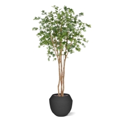 Artificiale Acero Albero Deluxe Verde 250cm su fusto