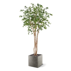 Artificiale Acero Albero Deluxe Verde 250cm su fusto