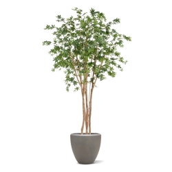 Artificiale Acero Albero Deluxe Verde 250cm su fusto