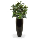 Pianta artificiale Elastica Robusta 90 cm - verde