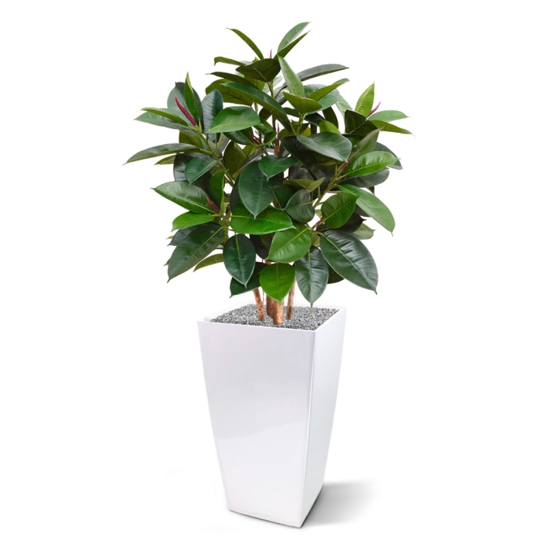 Pianta artificiale Elastica Robusta 90 cm - verde