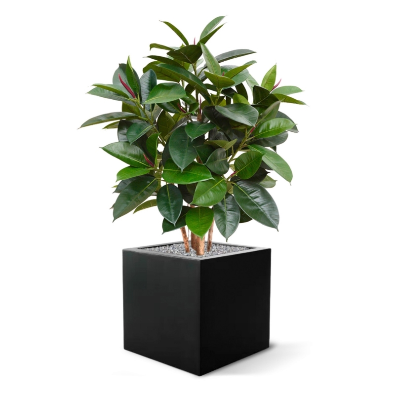 Pianta artificiale Elastica Robusta 90 cm - verde