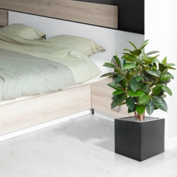 Pianta artificiale Elastica Robusta 90 cm - verde