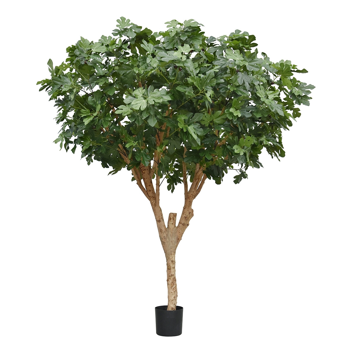 Albero di Fico Deluxe Artificiale 250cm N