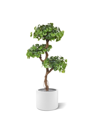 Albero artificiale Ginkgo Bonsai 150 cm