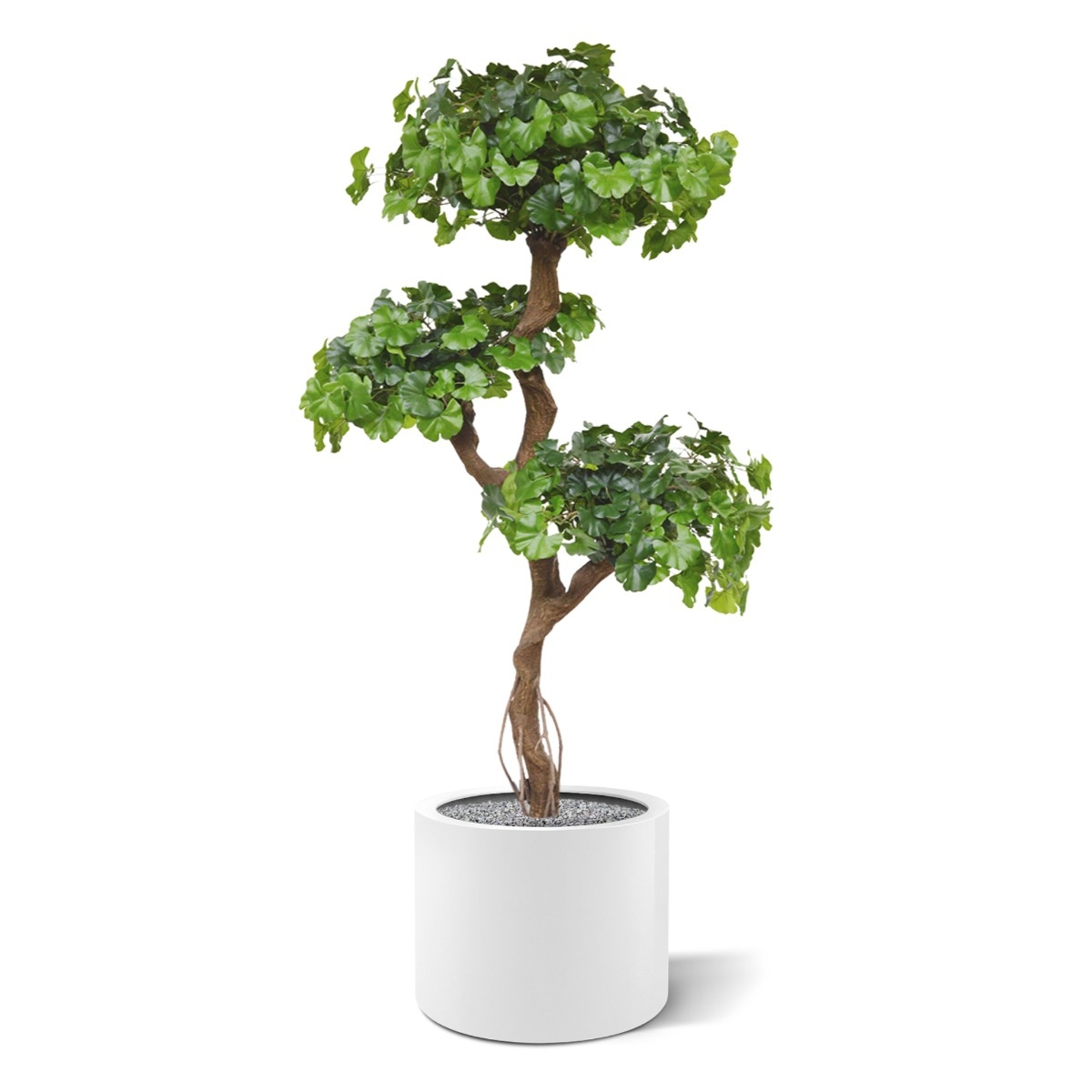 Albero artificiale Ginkgo Bonsai 150 cm