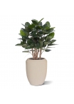 Ficus Audrey pianta artificiale 100cm