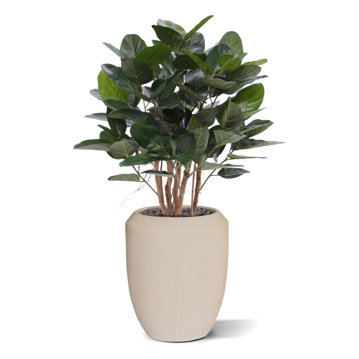 Ficus Audrey pianta artificiale 100cm
