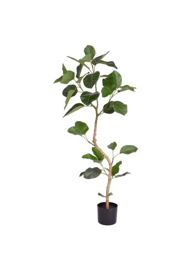 Pianta artificiale Ficus Audrey RT 120 cm
