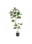 Pianta artificiale Ficus Audrey RT 120 cm