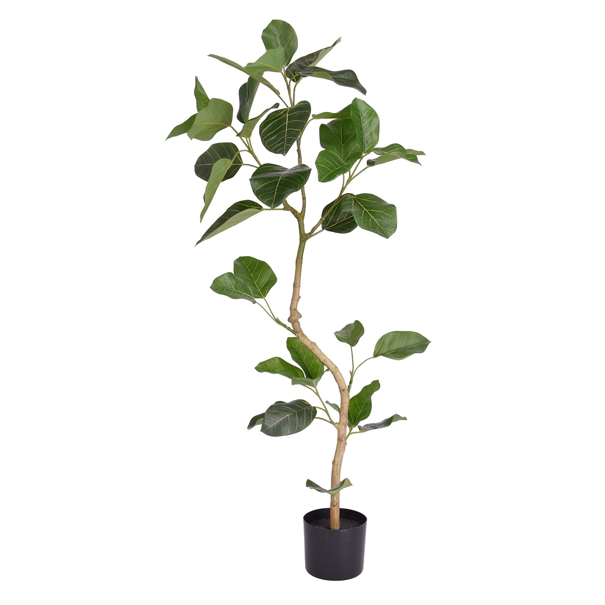 Pianta artificiale Ficus Audrey RT 120 cm