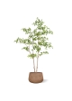 Albero artificiale Pittosporum 180 cm
