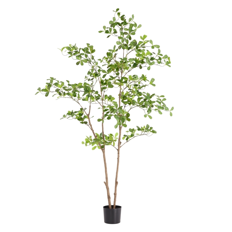 Albero artificiale Pittosporum 180 cm