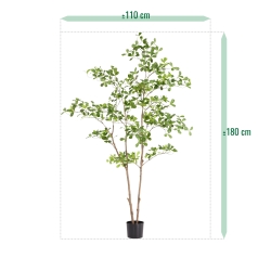 Albero artificiale Pittosporum 180 cm