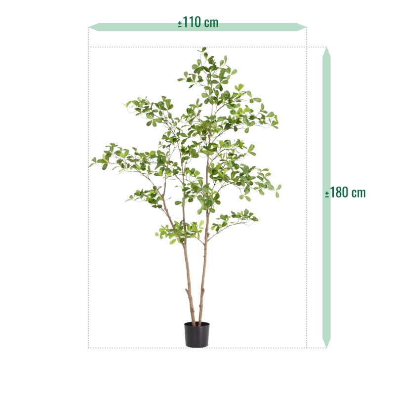 Albero artificiale Pittosporum 180 cm
