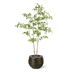 Albero artificiale Pittosporum 180 cm