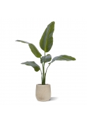 Pianta artificiale Strelitzia Nicolai 90cm
