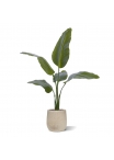 Pianta artificiale Strelitzia Nicolai 90cm