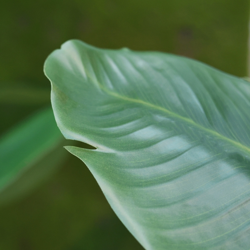 Pianta artificiale Strelitzia Nicolai 90cm