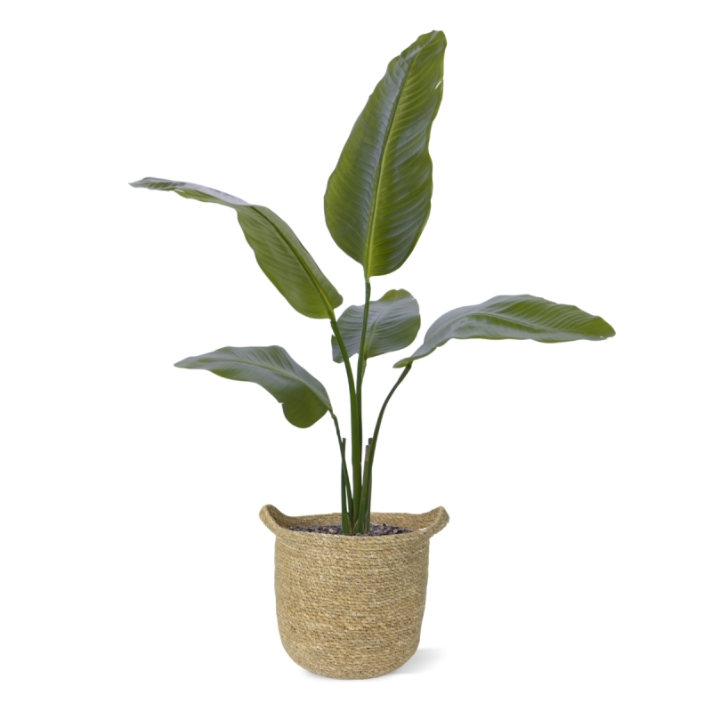 Pianta artificiale Strelitzia Nicolai 90cm