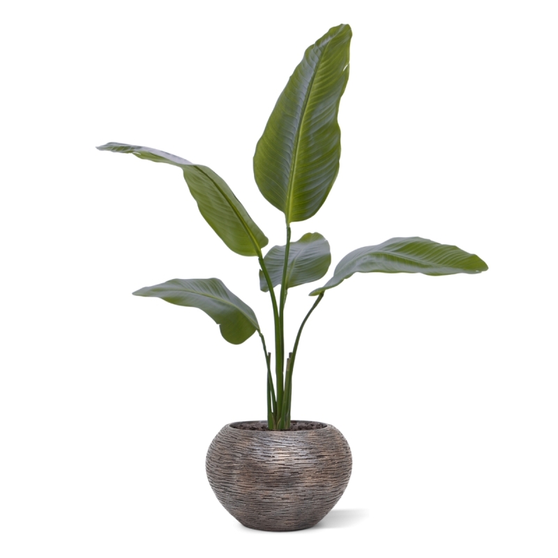 Pianta artificiale Strelitzia Nicolai 90cm