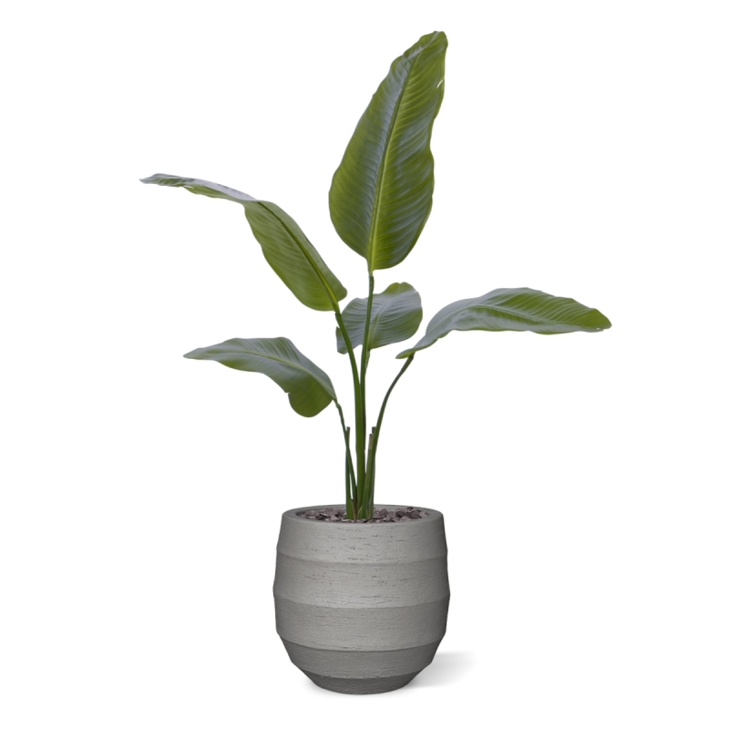 Pianta artificiale Strelitzia Nicolai 90cm